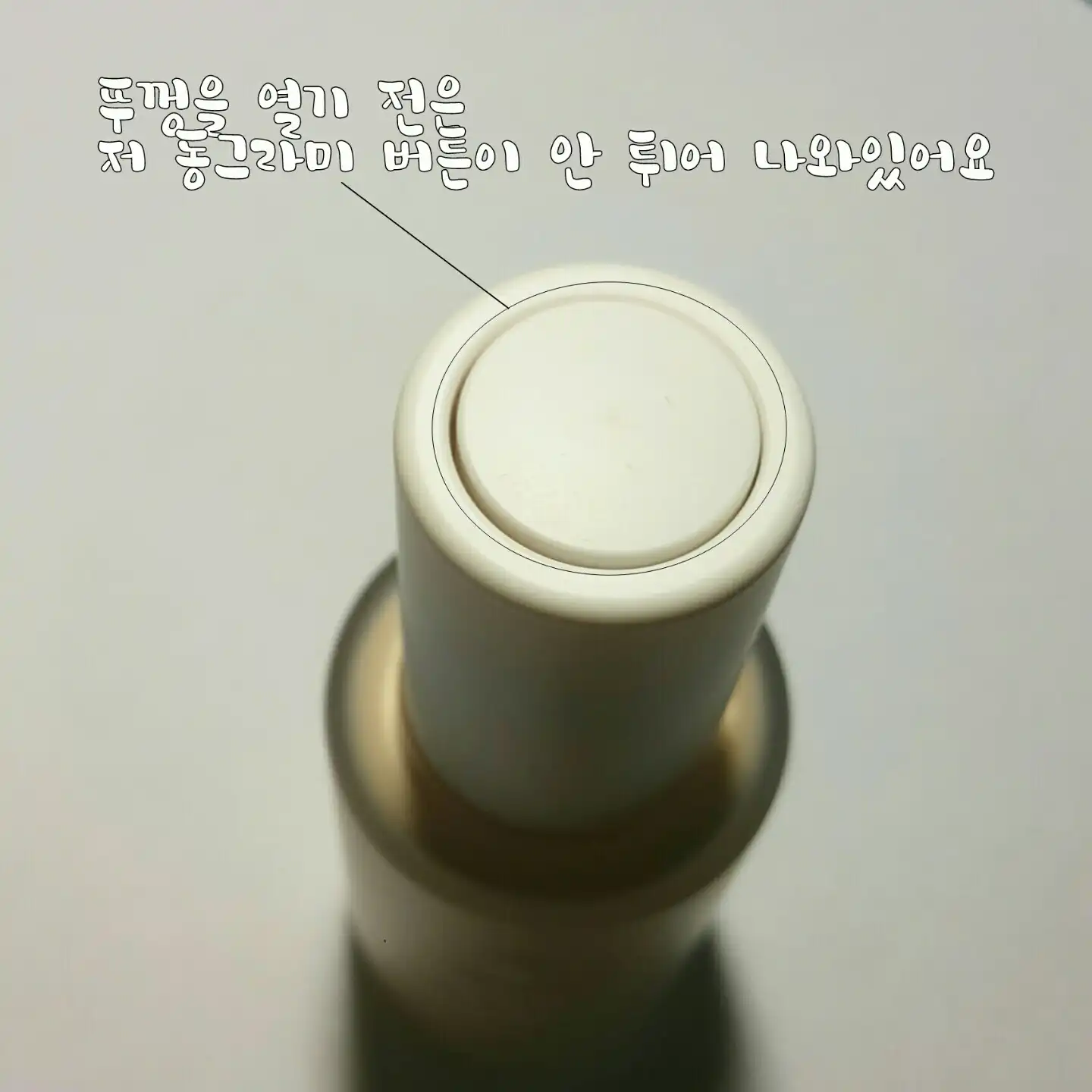 언니의파우치 리뷰 이미지 12 - [물방울 틴티드 파운데이션 [01 페일]]