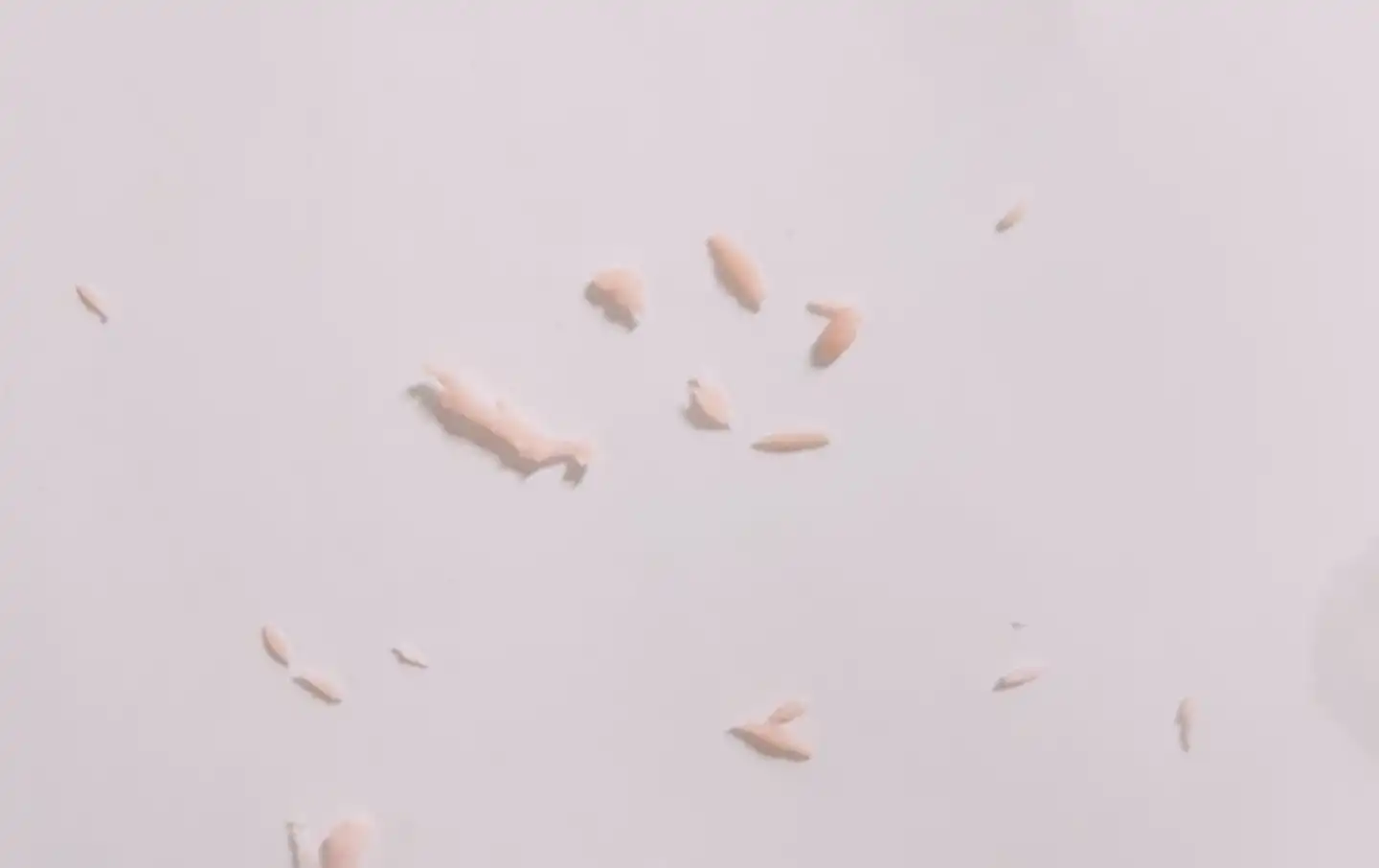 언니의파우치 리뷰 이미지 7 - [언파 부비부비 버블 립 스크럽 (10ml)]