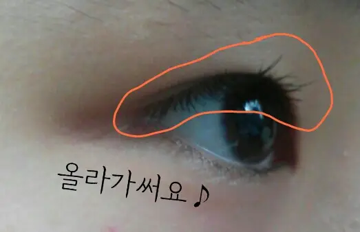 선택된 언니의파우치 리뷰 이미지 - [트리플 섀도우 [5호 빈티지 플럼]]