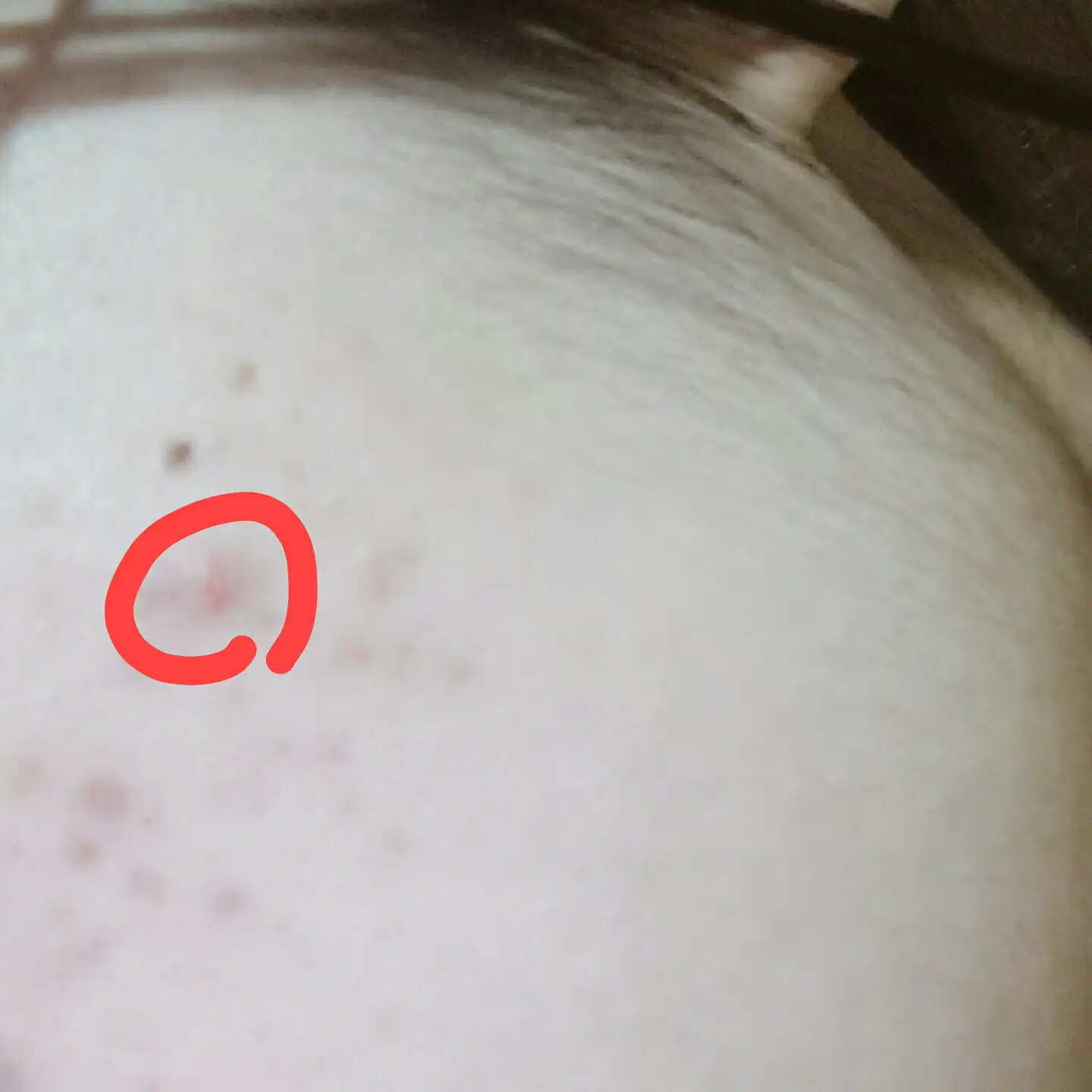언니의파우치 리뷰 이미지 7 - [디 오리지널 텐션 팩트 퍼펙트 커버 [23호]]