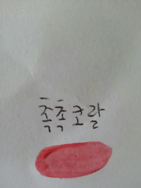 선택된 언니의파우치 리뷰 이미지 - [[더 스타일] 뷰티풀 틴트 (촉촉코랄)]