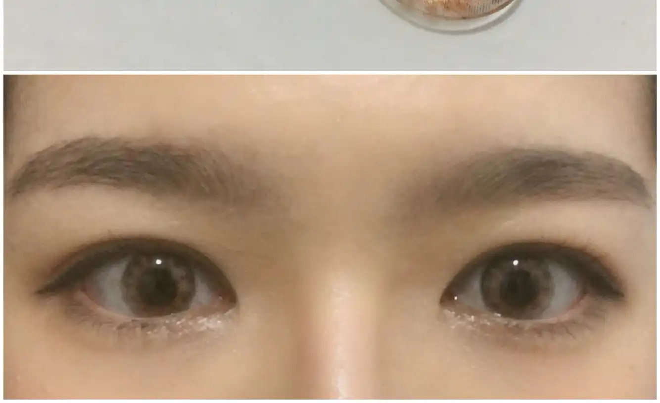 라일리 퓨어 [브라운]