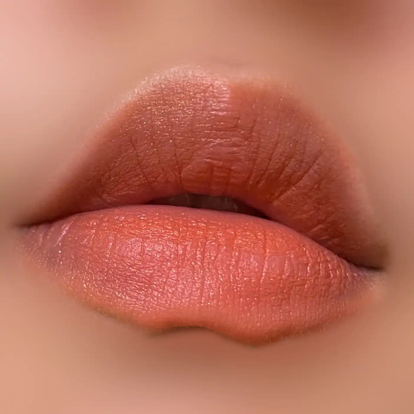 레이어 퍼지 틴트 [#1 퍼지코랄]