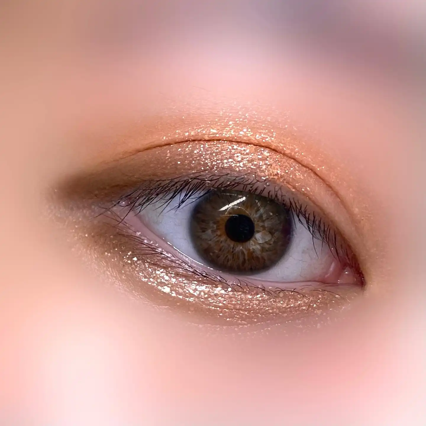 홀리몰리 레이어 팔레트 [데이 애프터 데이]