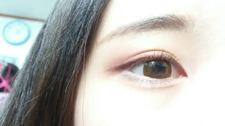 위드썸 [브라운]