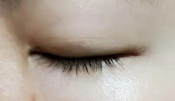 언니의파우치 리뷰 이미지 7 - [마이 래쉬 세럼 속눈썹 영양제]
