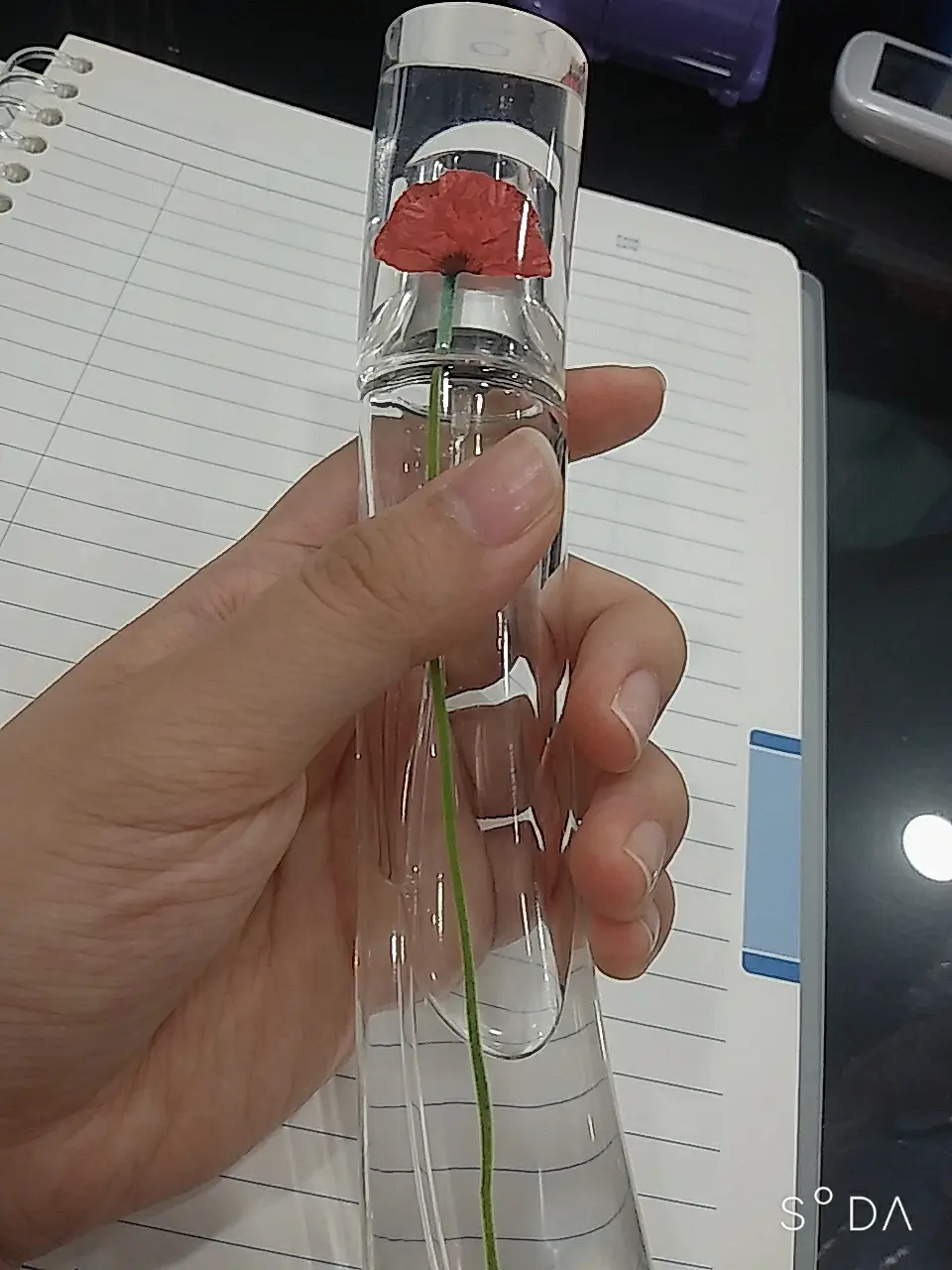 선택된 언니의파우치 리뷰 이미지 - [플라워바이 겐조 우먼 오드뚜왈렛]