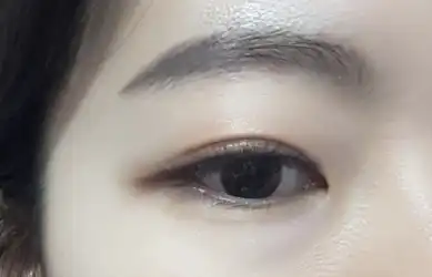 언니의파우치 리뷰 이미지 5 - [아이돌 래쉬 베이직 [7호 시크릿 라인]]