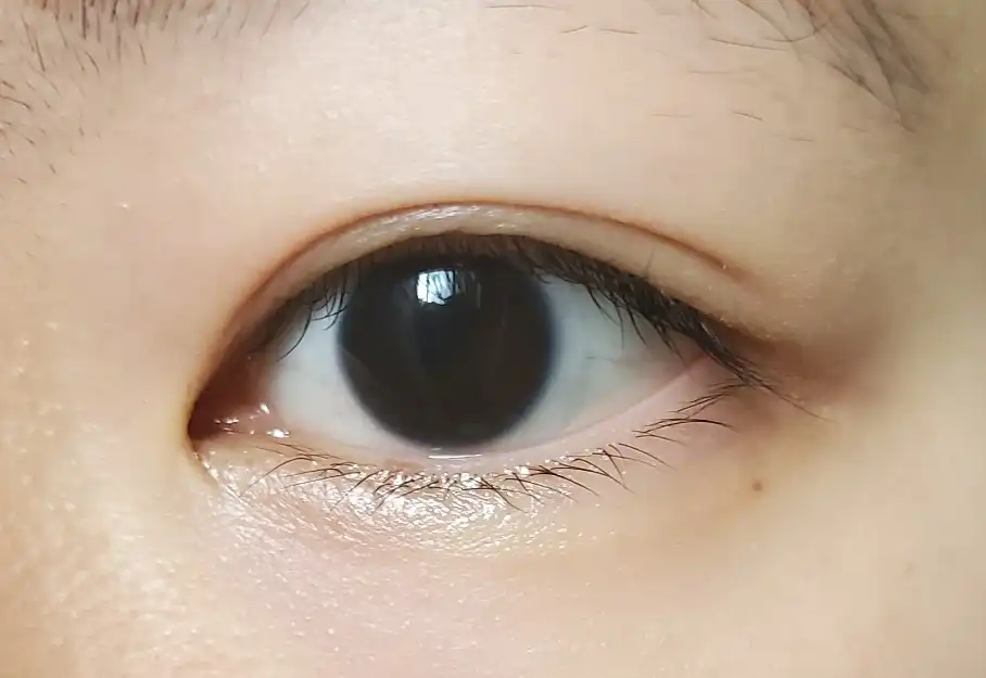 언니의파우치 리뷰 이미지 6 - [오투에디션]