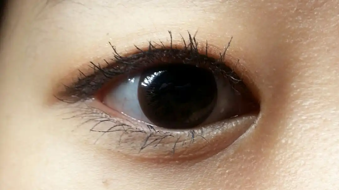 닥터마스카라 픽서 포 퍼펙트 래쉬