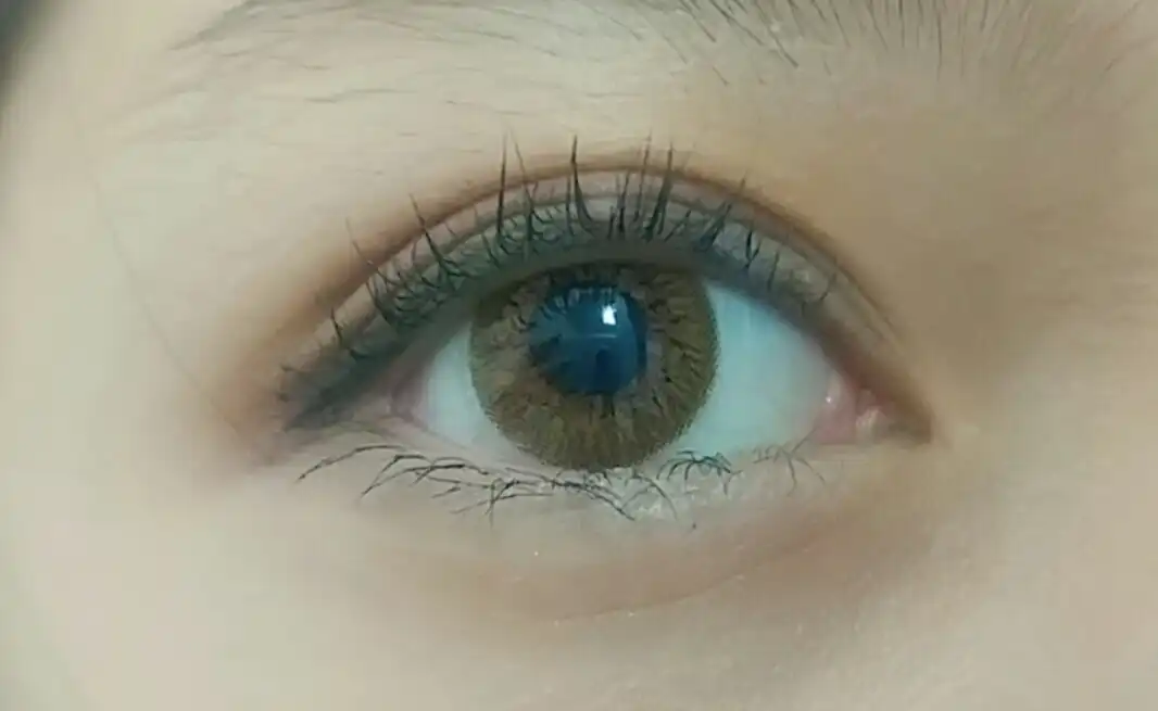 시크리스 3콘 [코랄 브라운]