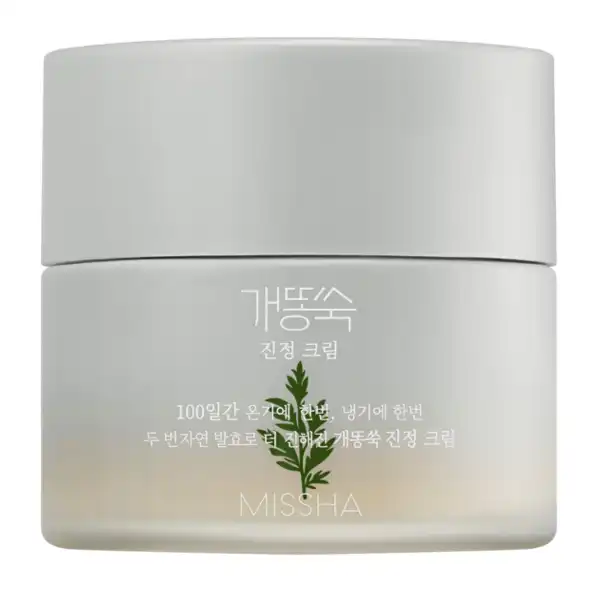 미샤 개똥쑥 진정 크림