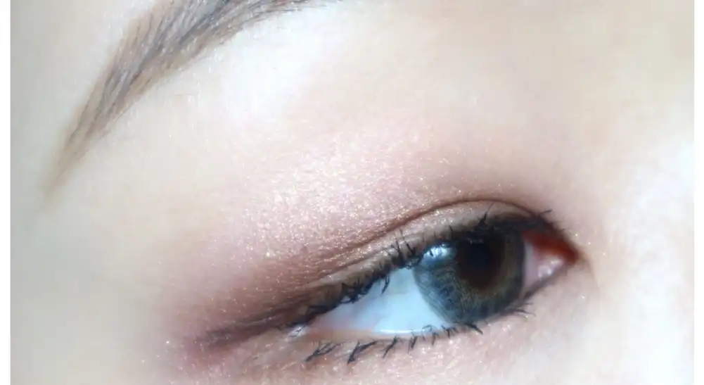 네이키드 아이섀도우 [2호 백허그]