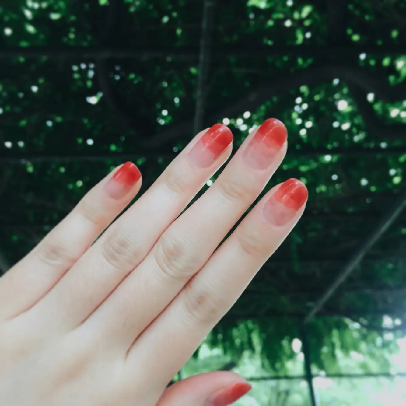 선택된 언니의파우치 리뷰 이미지 - [딜라이트 토니틴트 네일 [01 체리핑크]]