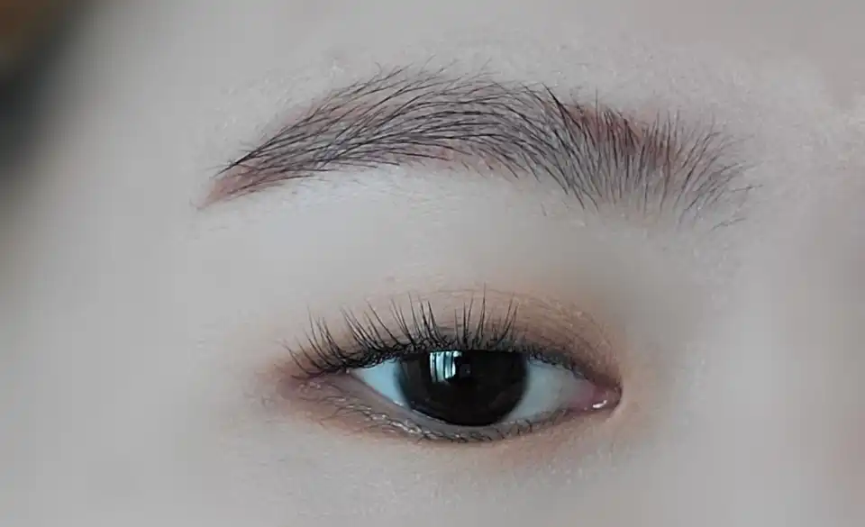 홀리몰리 레이어 팔레트 [데이 애프터 데이]