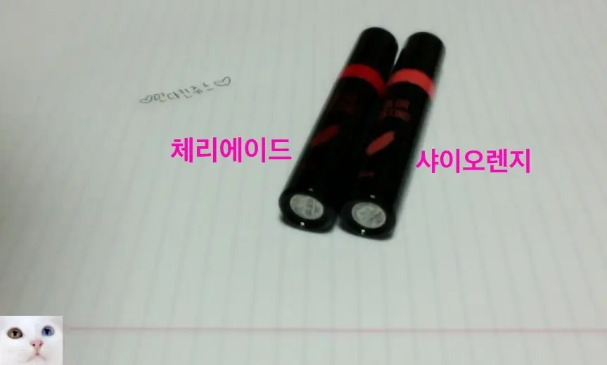 선택된 언니의파우치 리뷰 이미지 - [컬러 래스팅 틴트 08호 샤이오렌지]