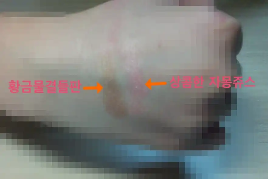 리뷰 이미지