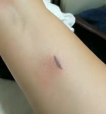 언니의파우치 리뷰 이미지 6 - [아이 블렌더 브러쉬]