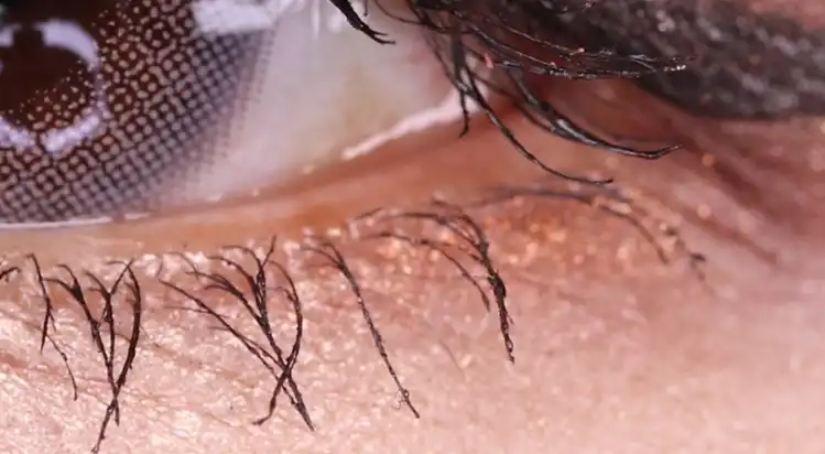 젤 프레소 아이라이너 [3호]