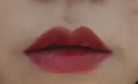 엘르걸 틴트 라커 #10 칠리걸