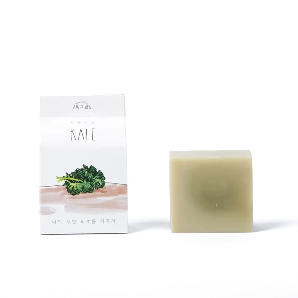 케일 가꿈 KALE