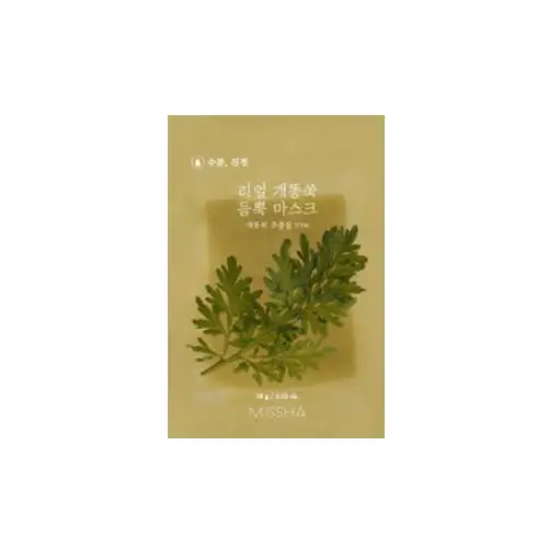 리얼 개똥쑥 듬뿍 마스크