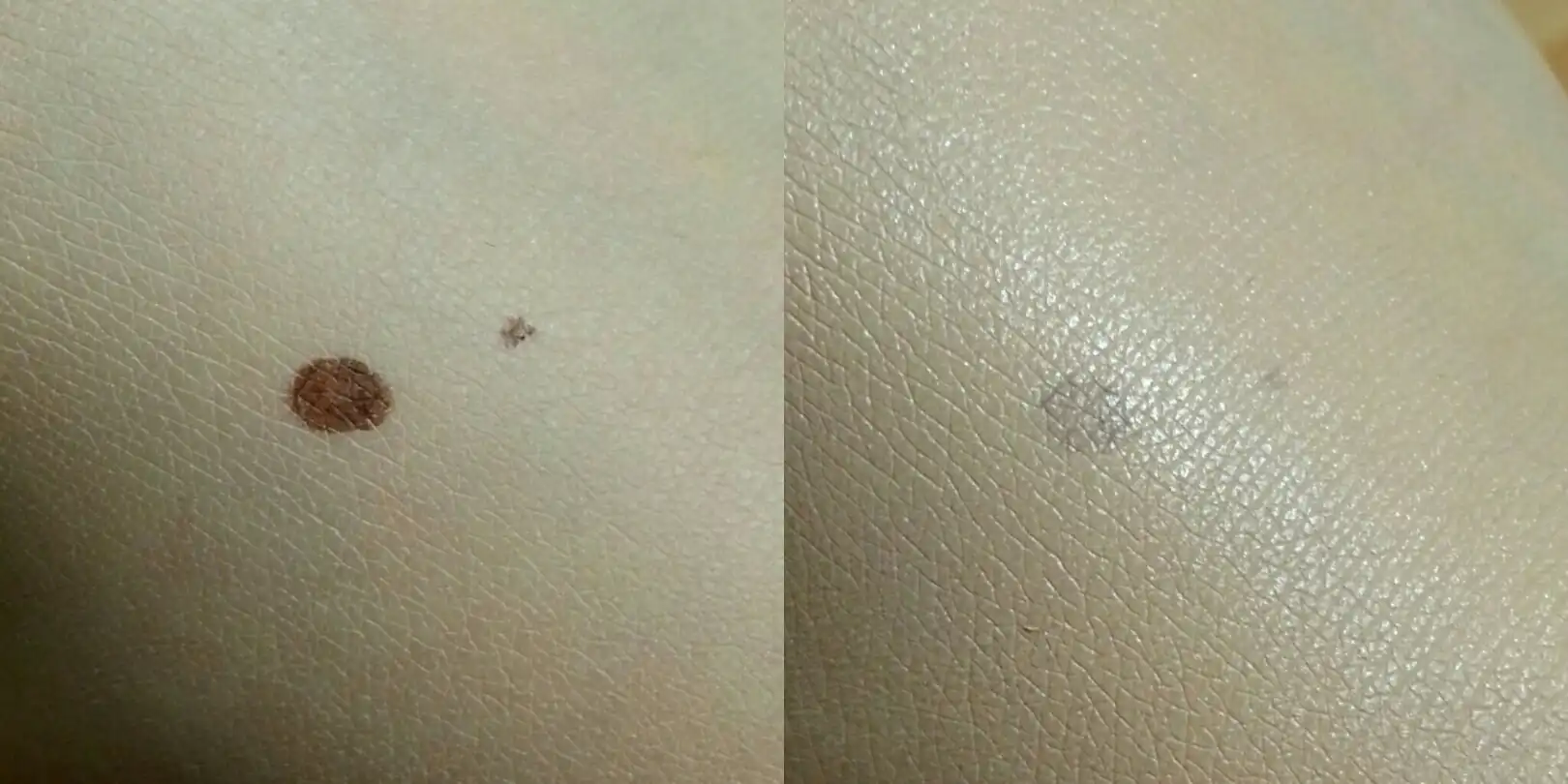 언니의파우치 리뷰 이미지 8 - [더블 쿠션 허니 블러썸]