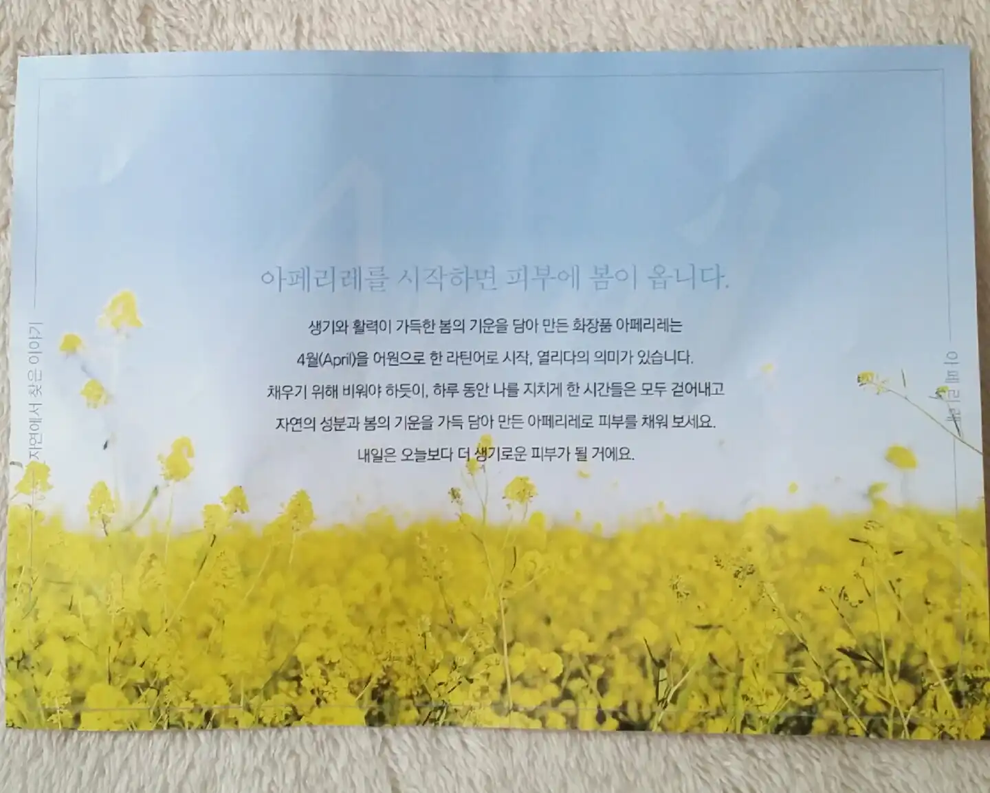 리뷰 이미지