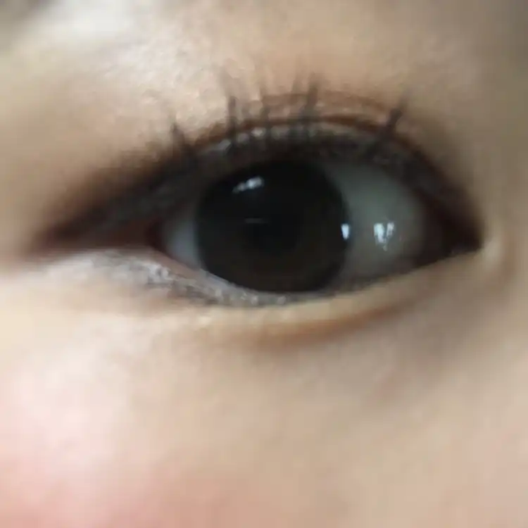 모노아이즈 (2014 NEW) 61호 얼쓰