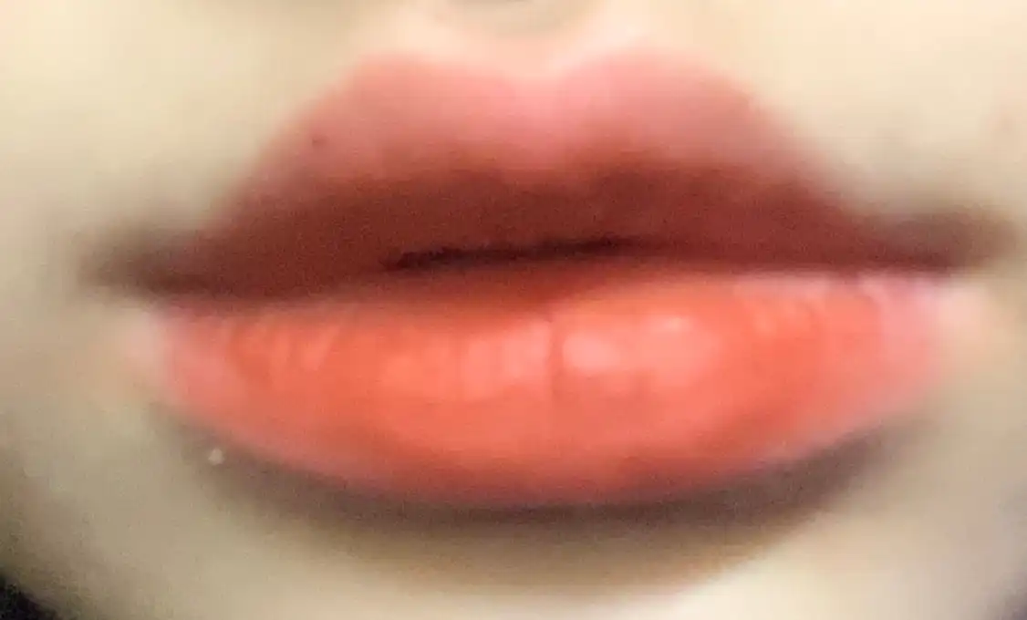 라스트 벨벳 립 틴트3 [12 다정보스]