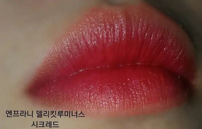 언니의파우치 리뷰 이미지 7 - [델리킷 루미너스 립스틱 [01호 시크레드]]