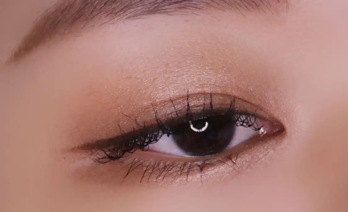 레베쥬 내추럴 아이섀도우 컬렉션 레 인디스펜서블