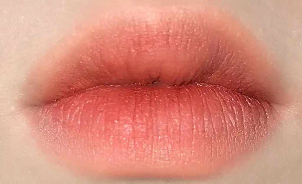 블러 파우더 틴트 [01 소프트코랄]