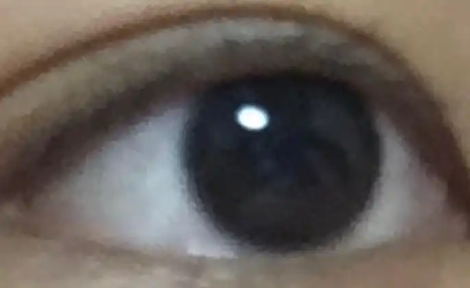 엑시1 [브라운S]