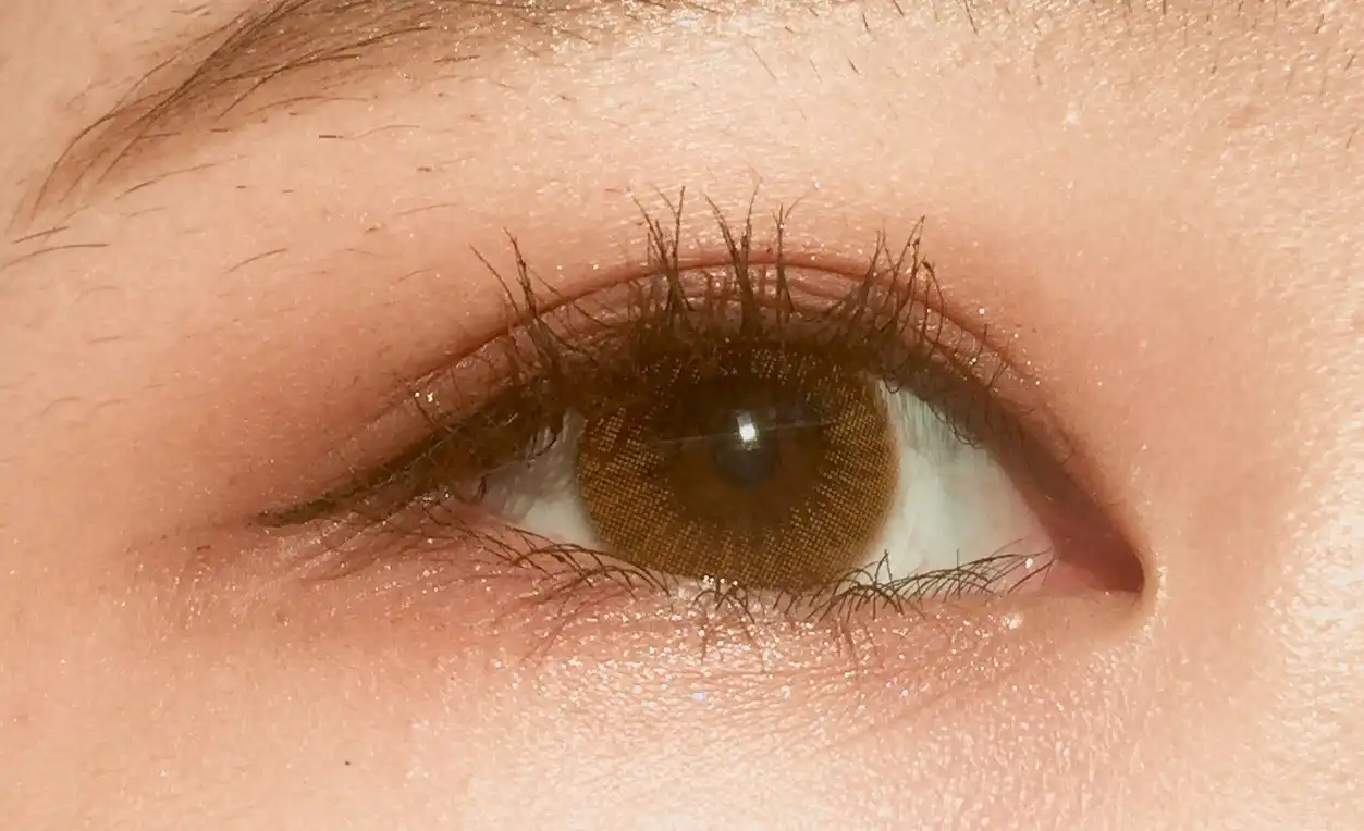 시나몬 [브라운]