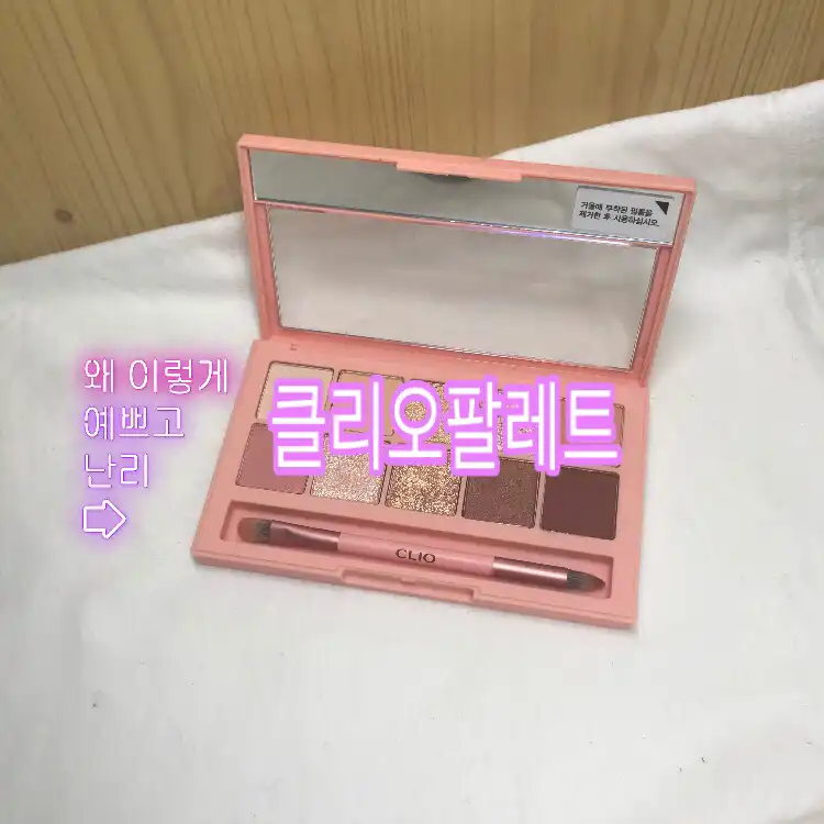 선택된 언니의파우치 리뷰 이미지 - [프로 아이 팔레트 [007 피치그루브]]