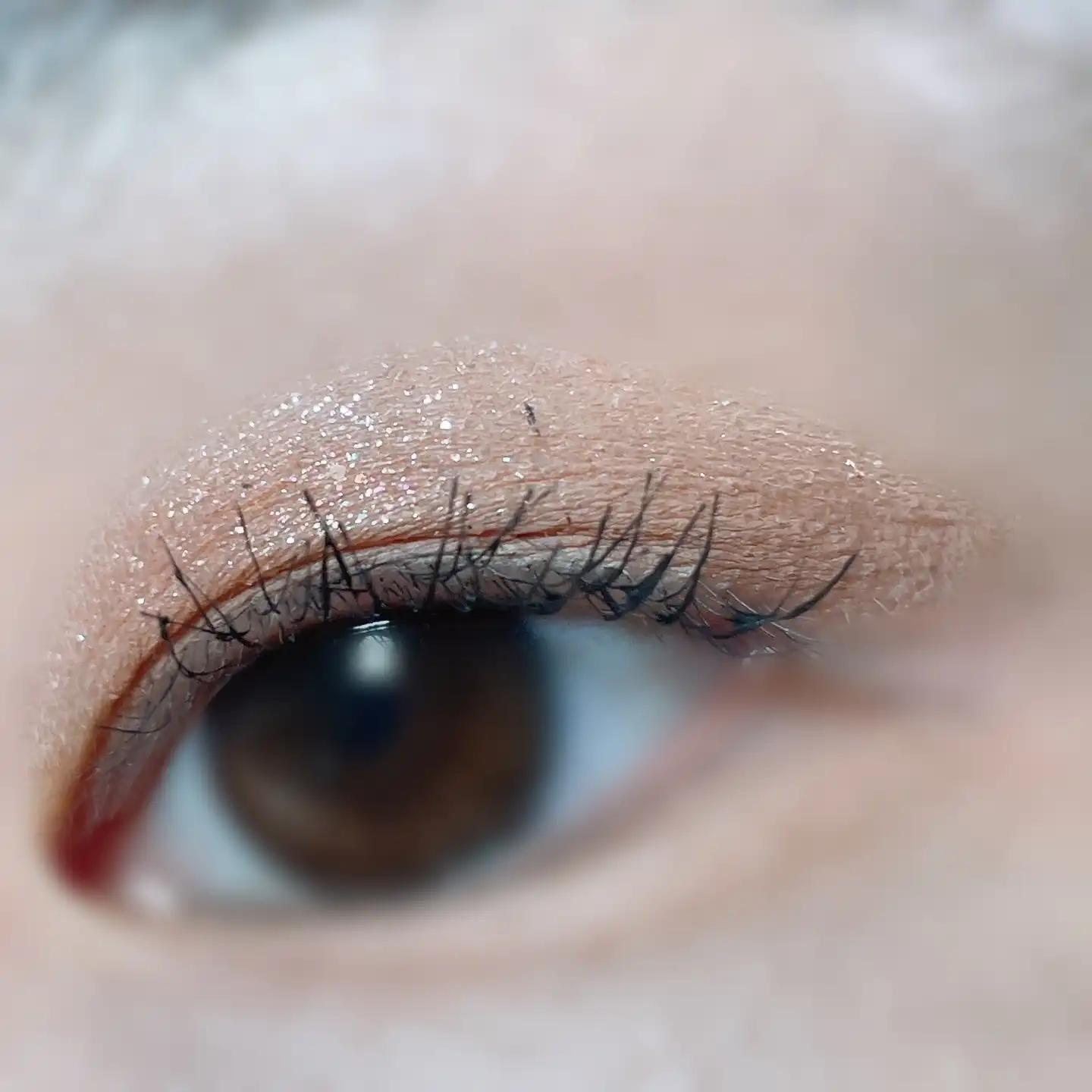 언니의파우치 리뷰 이미지 7 - [1001 톤온톤 섀도우팔레트 프로9구 [누드무드]]