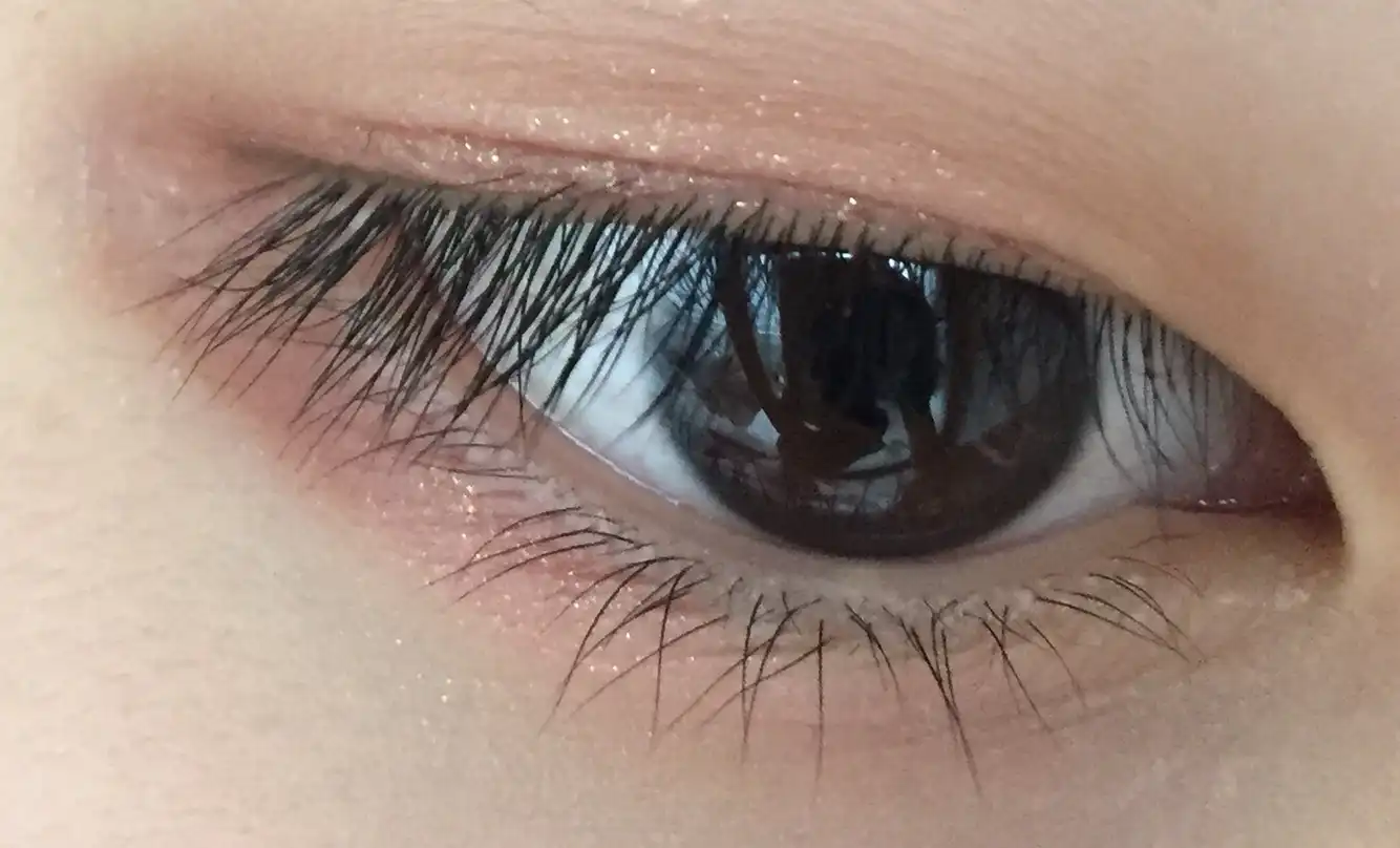 모노아이즈 [41호 캐시미어]