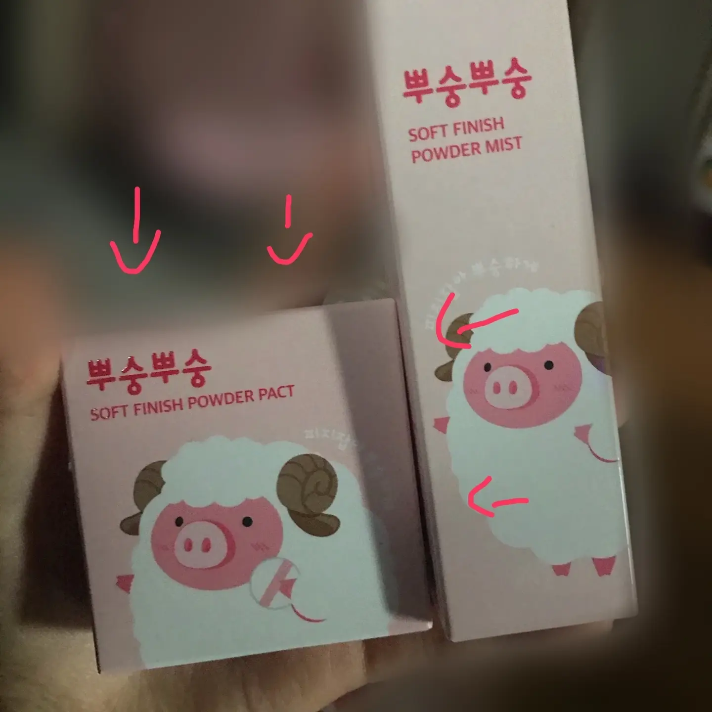선택된 언니의파우치 리뷰 이미지 - [뿌숭뿌숭 파우더팩트]
