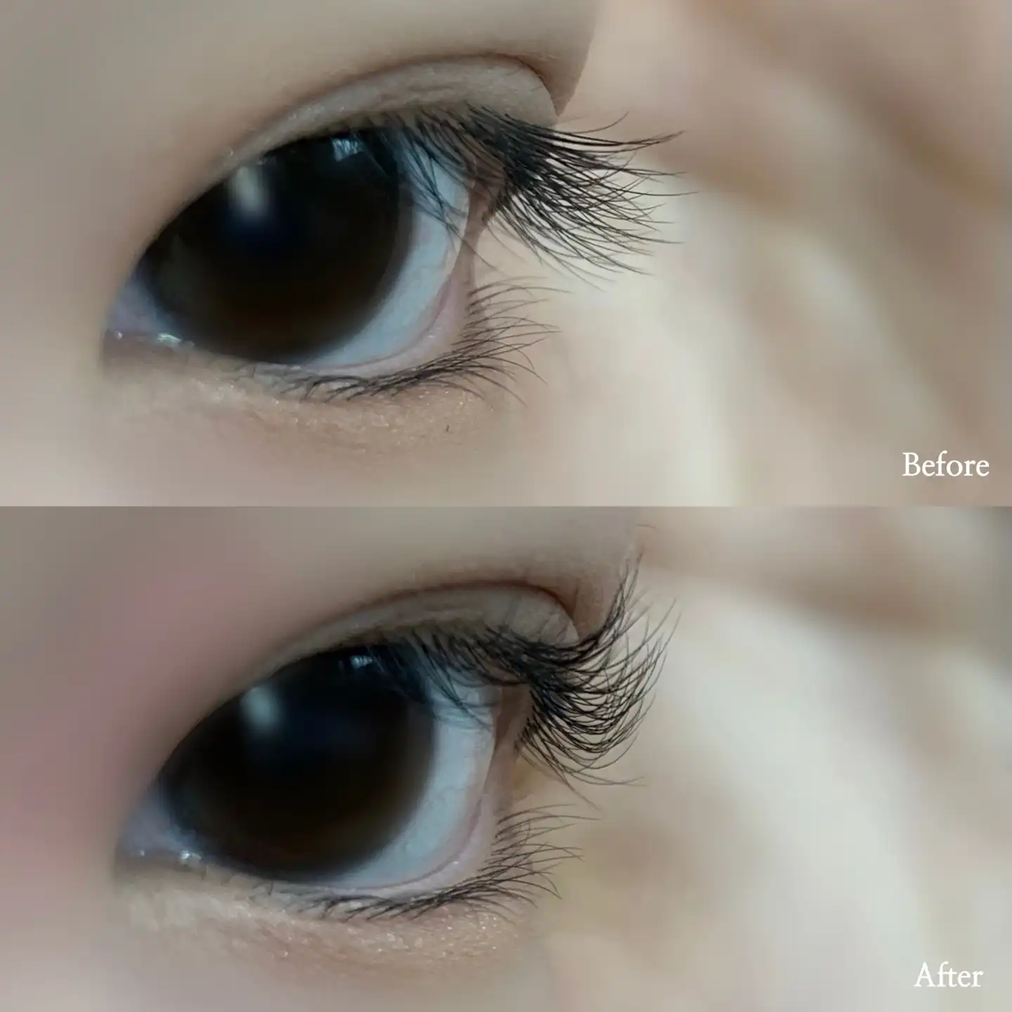 퍼펙트 아이래쉬 컬러