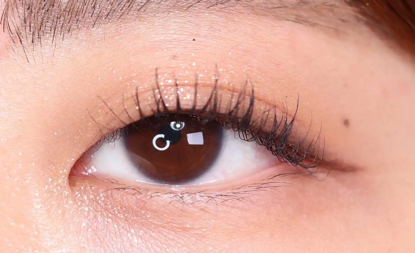 버라이어티 아이팔레트 [01 솔티드 캐러멜 딥]