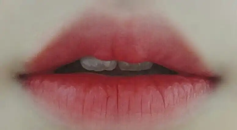 디어 마이 블루밍 립스 톡 쉬폰 [RD313 예쁘고 쉬폰 레드]