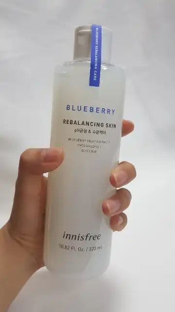블루베리 리밸런싱 스킨