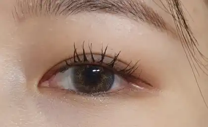 더 폴시 래시 리프트 워터프루프 마스카라