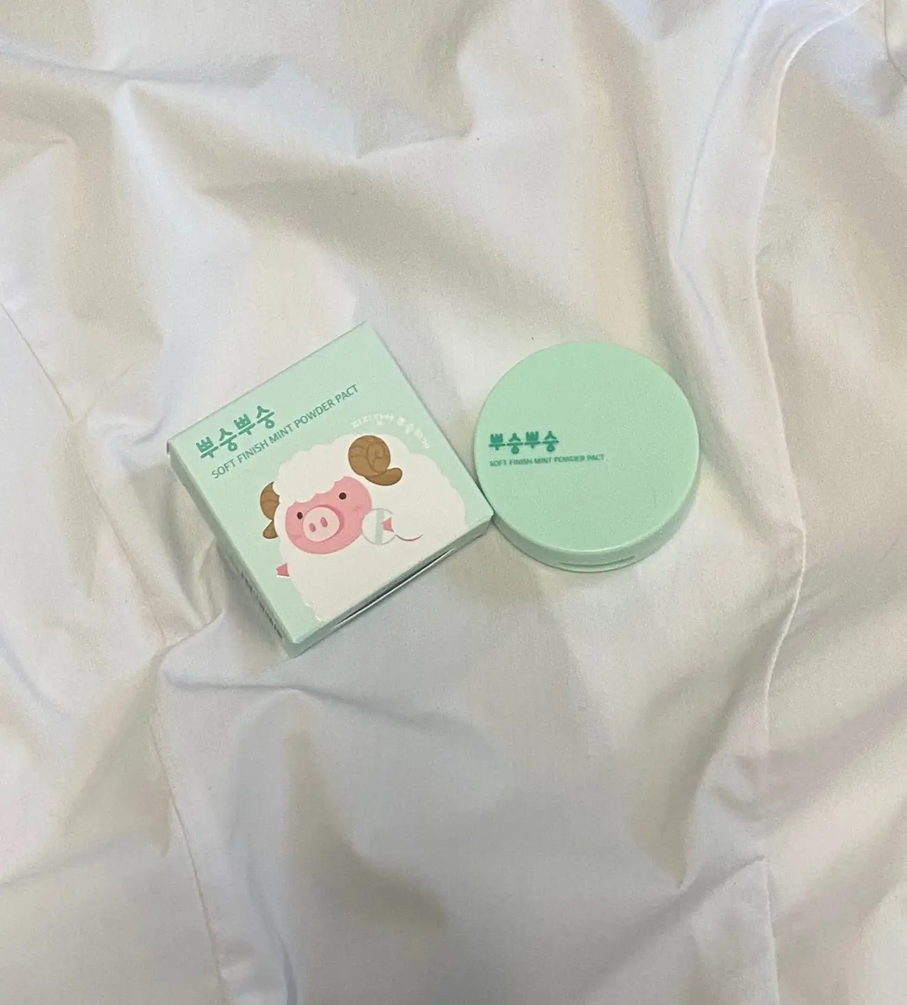 선택된 언니의파우치 리뷰 이미지 - [ 뿌숭뿌숭 민트 파우더 팩트]