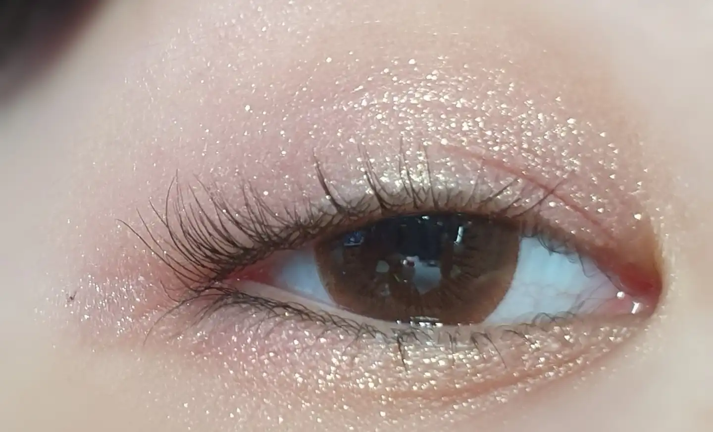 모노아이즈 [41호 캐시미어]