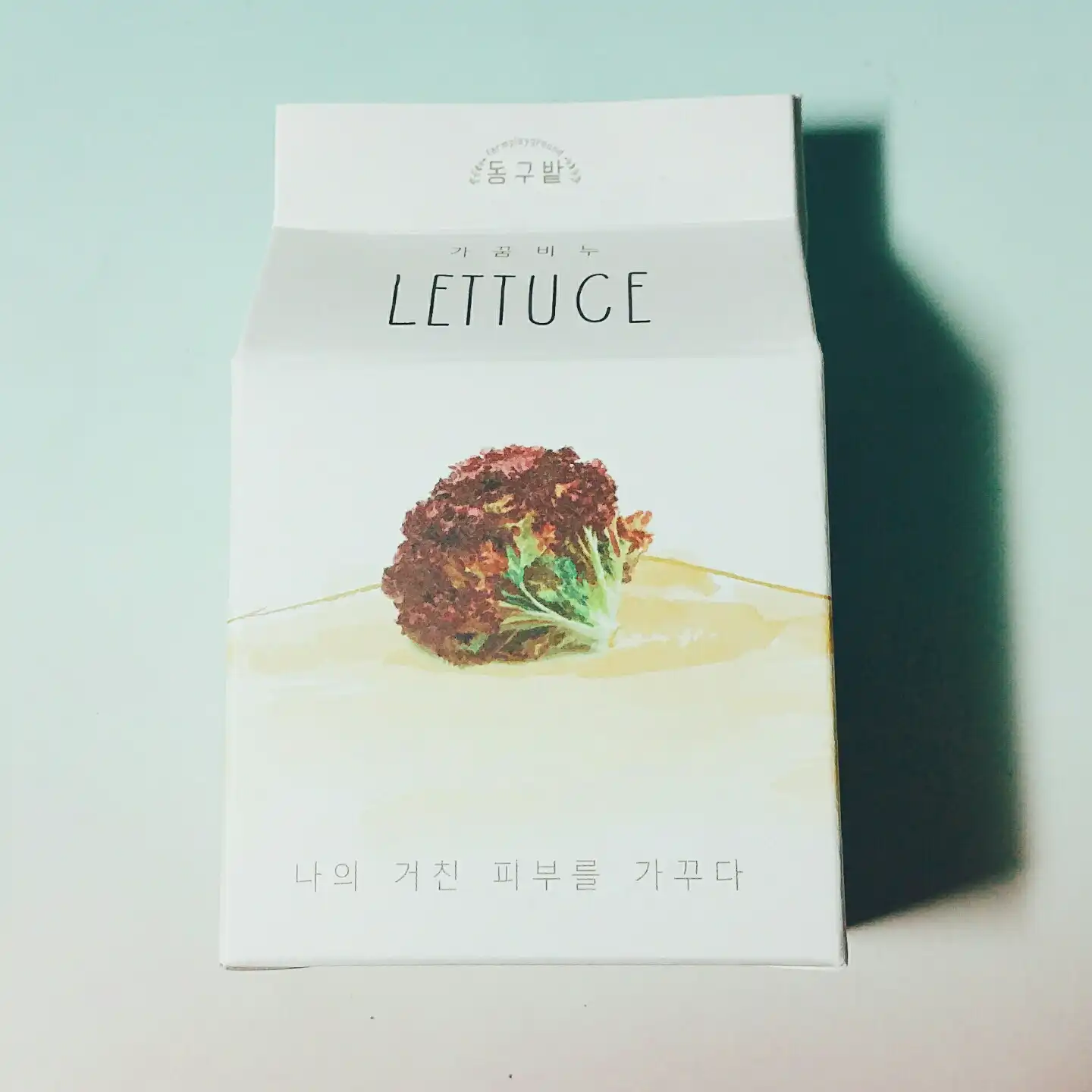 상추 가꿈 LETTUCE