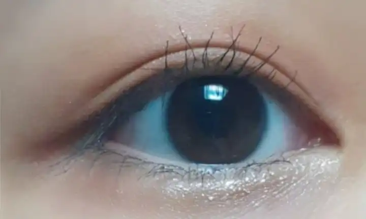 홀리몰리 레이어 팔레트 [데이 애프터 데이]