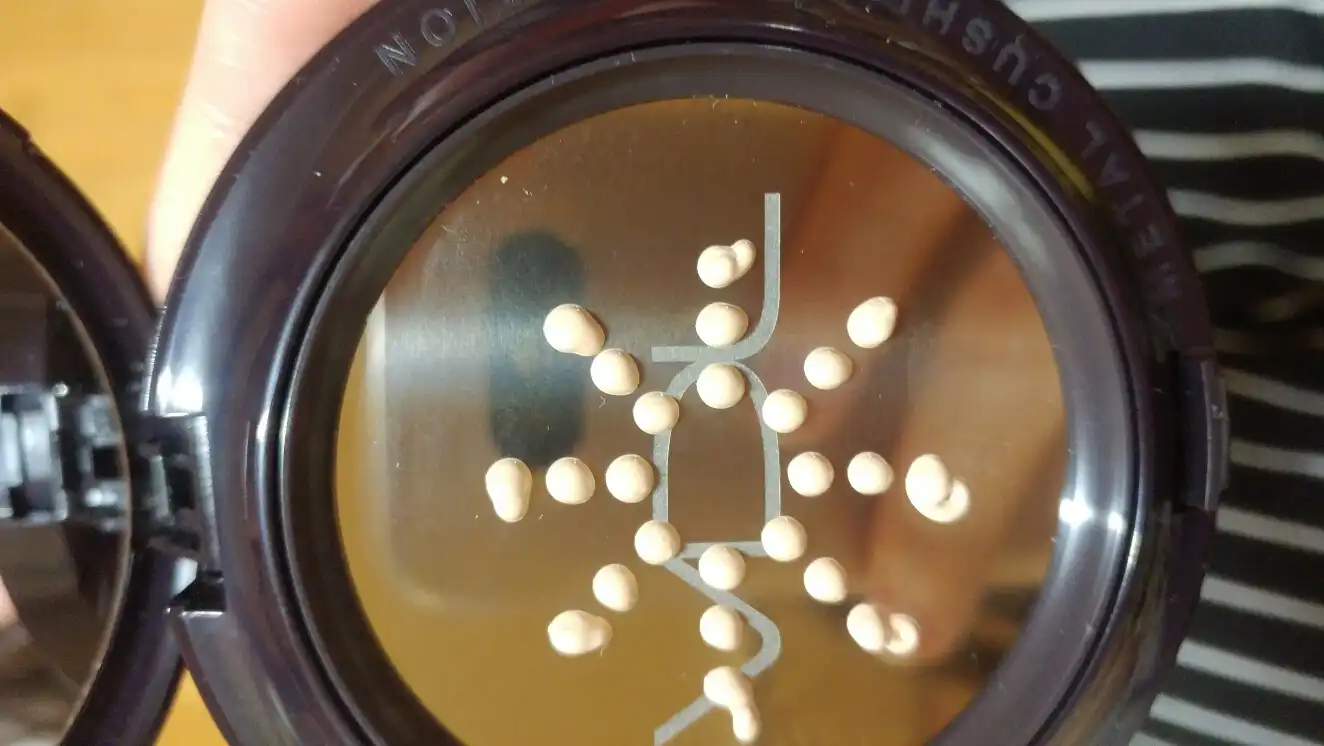 엑스퍼트 메탈 쿠션 파운데이션 [A201]