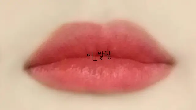 선택된 언니의파우치 리뷰 이미지 - [페리스 잉크 더 벨벳 005 잉크튜드]
